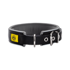 Collare per cani BVB di alta qualità in neoprene con elementi riflettenti, design nero e caratteristico logo BVB giallo, perfetto per gli amanti degli animali domestici che tifano per i "neri e gialli".