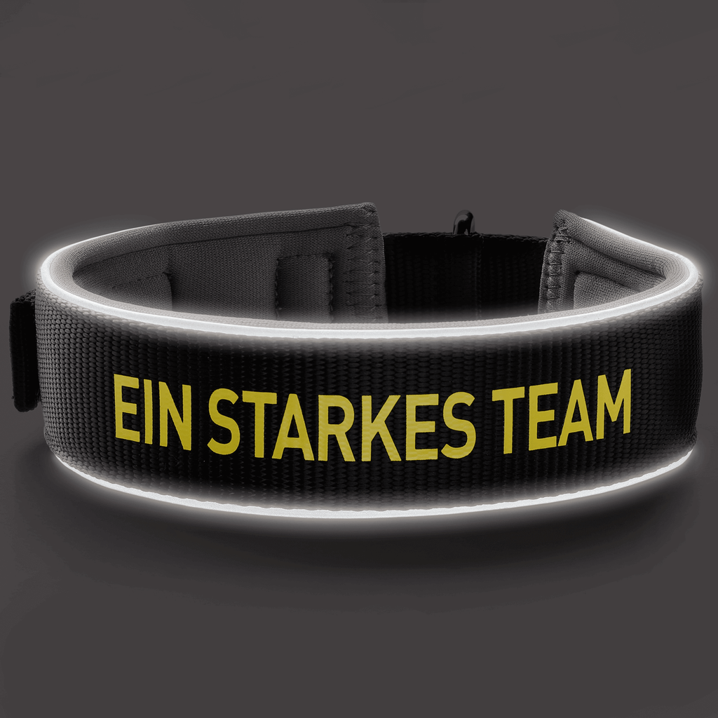 Collare nero per cani del BVB in neoprene con elemento riflettente e scritta gialla “Ein starkes Team”, ideale per i proprietari di cani e i tifosi del BVB.
