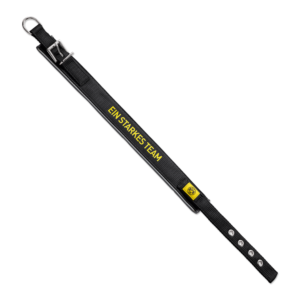 Collare nero per cani del BVB in neoprene con elemento riflettente e scritta gialla “Ein starkes Team”.