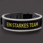 Collare per cani del BVB in neoprene con elemento riflettente, design nero e giallo e scritta gialla "EIN STARKES TEAM". Perfetto per i tifosi del Borussia Dortmund.