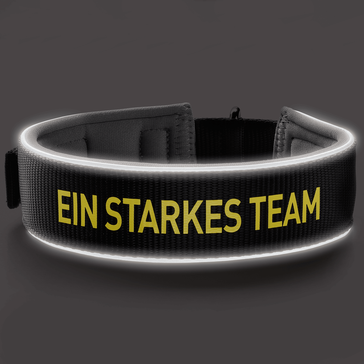 Collare per cani del BVB in neoprene con elemento riflettente, design nero e giallo e scritta gialla "EIN STARKES TEAM". Perfetto per i tifosi del Borussia Dortmund.
