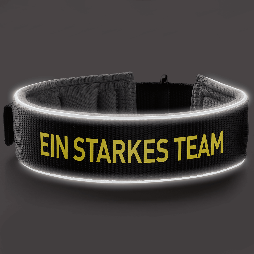 Collare per cani del BVB in neoprene con elemento riflettente, design nero e giallo e scritta gialla "EIN STARKES TEAM". Perfetto per i tifosi del Borussia Dortmund.