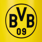 Gourde jaune du BVB avec le logo noir du BVB et d'une contenance de 0,75 litre, idéale pour le sport et les supporters.