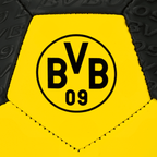 黒と黄色のデザインで、BVBのロゴがエンボス加工されたBVBのボールのクローズアップ写真。