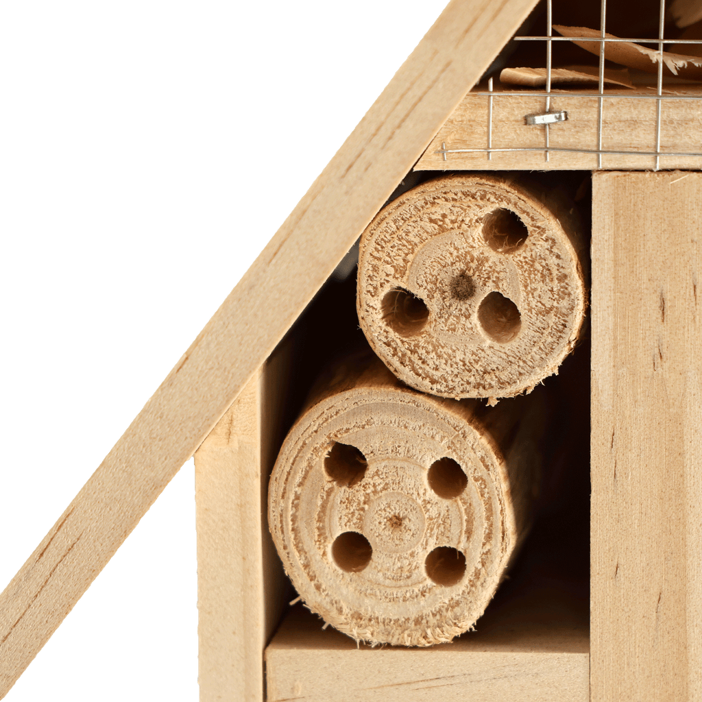 Sustainable BVB wooden insect hotel for the garden, ideal for supporting bees and other insects.
