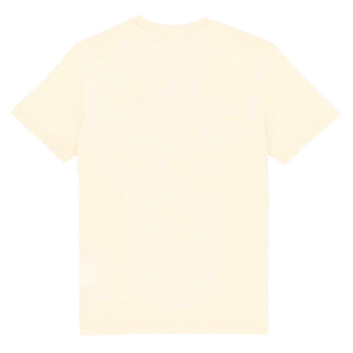 Rückansicht eines hellen Off-White T-Shirts von Borussia Dortmund mit schlichtem und minimalistischem Design.