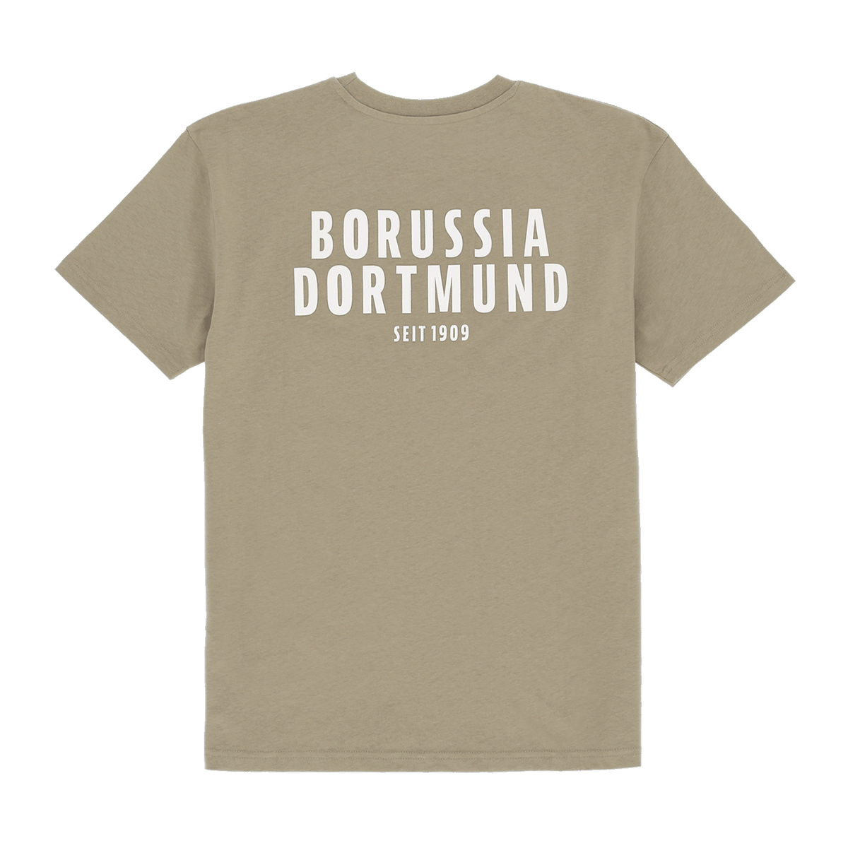 Salbeifarbenes BVB-T-Shirt für Frauen mit großem weißem Borussia Dortmund Schriftzug und 'Seit 1909' auf der Rückseite.