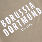 Sage-colored BVB T-shirt for women with prominent white "Borussia Dortmund" lettering and a "Since 1909" print—perfect for fans.