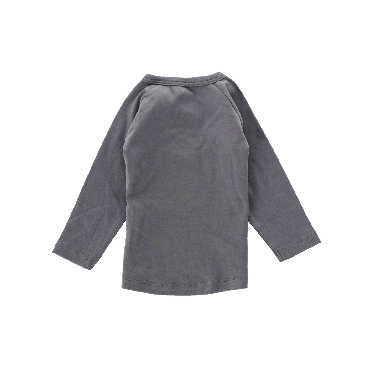 Rückansicht eines grauen BVB Longsleeves 1909 für Babys und Kleinkinder, ideal für junge Borussia Dortmund Fans