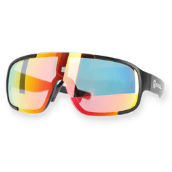 Lunettes de soleil noires du BVB, dotées de verres modernes et réfléchissants aux couleurs vives, et arborant le logo du BVB sur les deux branches.