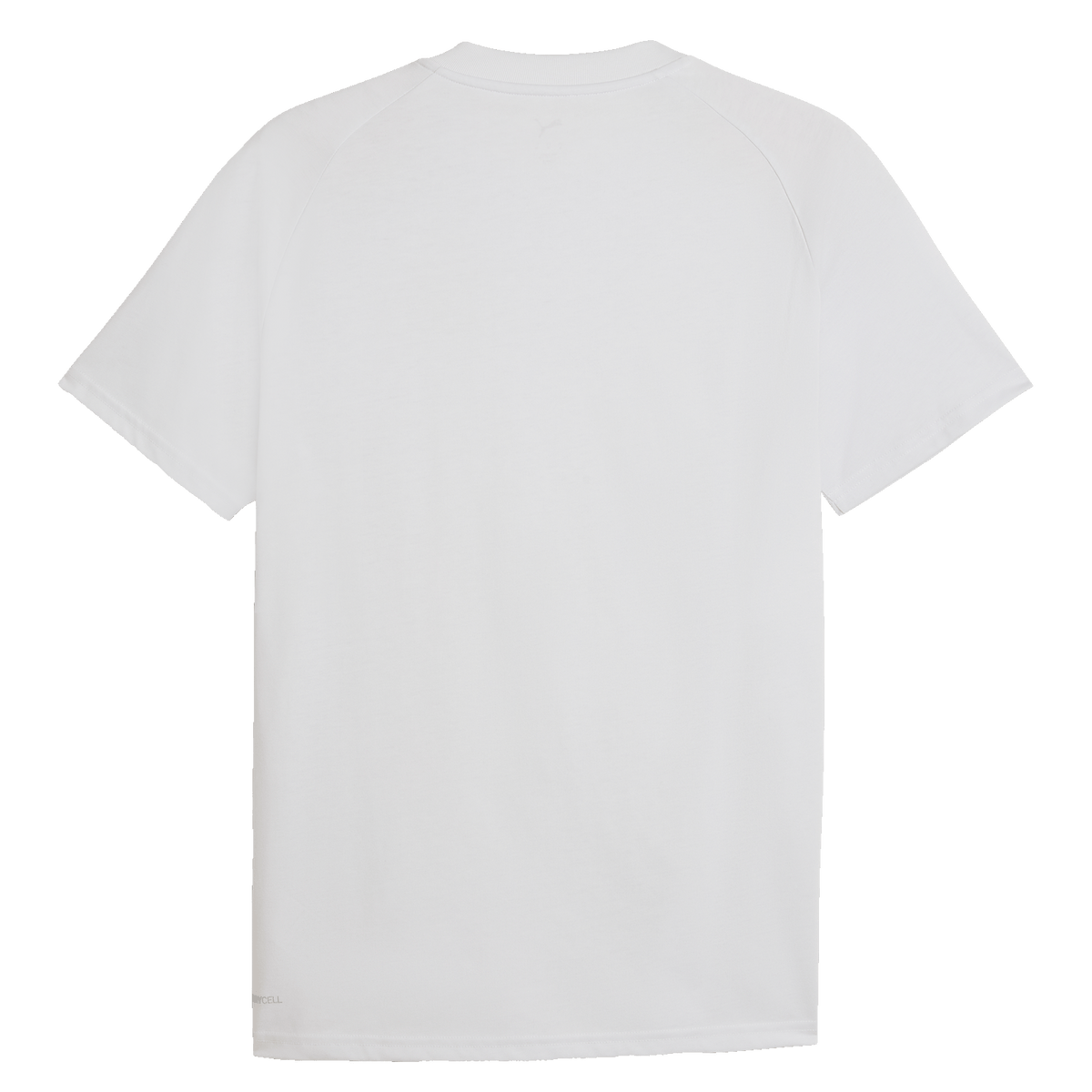 Rückansicht des silbergrauen Tech T-Shirts von BVB und PUMA, ideal für Fans von Borussia Dortmund.