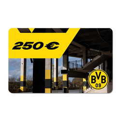 250ユーロ相当のギフト券。ボルシア・ドルトムントの黒と黄色を基調としたデザインで、BVBのロゴがはっきりと入っており、ファンへのプレゼントに最適です。