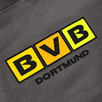 Sudadera con capucha para niños del BVB en color antracita, con un llamativo logotipo del BVB en amarillo y negro en la parte delantera, ideal para los jóvenes aficionados.