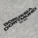 Detailansicht eines grauen BVB-Hoodies mit schwarzem Borussia Dortmund-Schriftzug und der Jahreszahl EST. 1909.