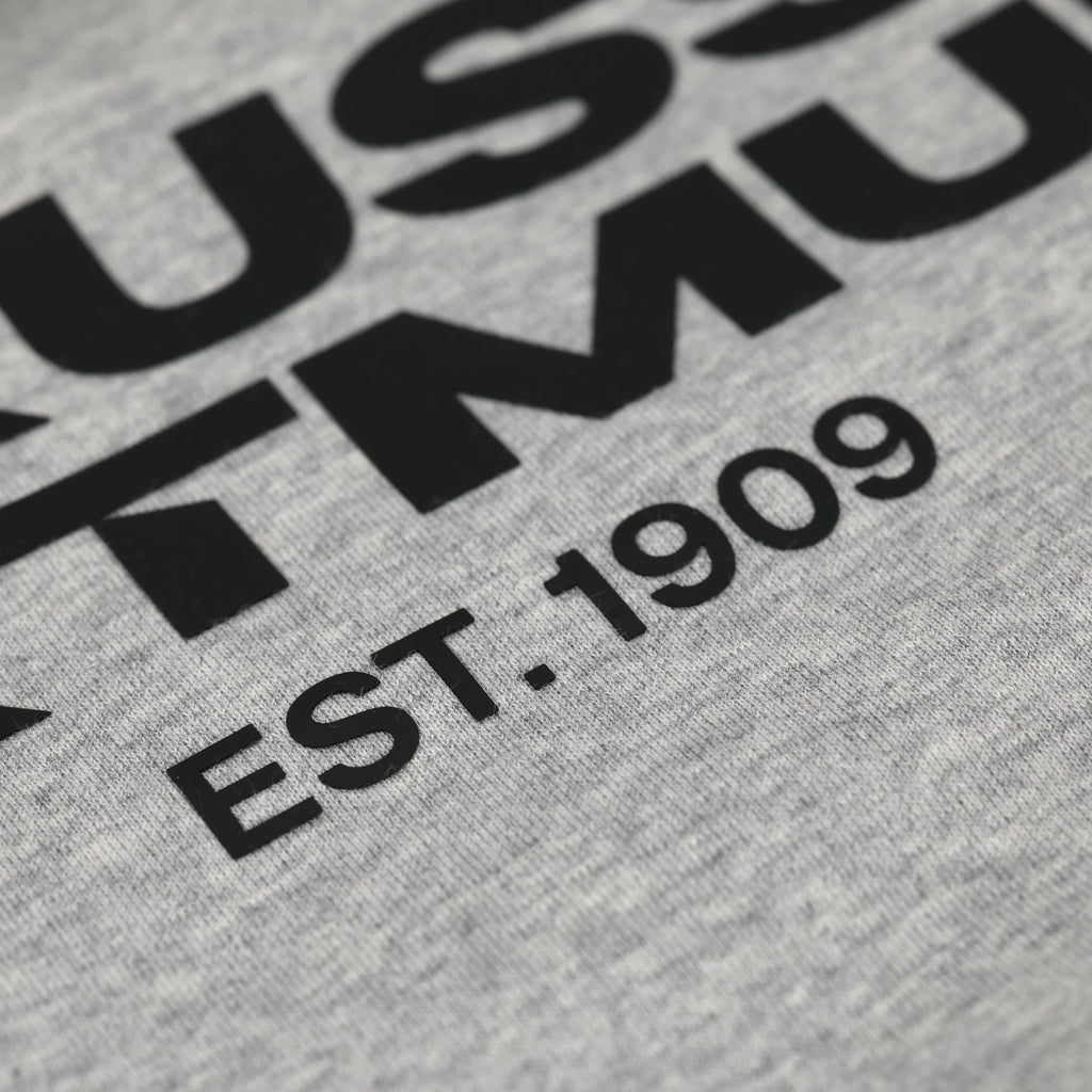 Detailaufnahme eines grauen BVB Urban Hoodies mit schwarzem Borussia Dortmund Schriftzug und 'EST. 1909' Aufdruck.