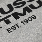 Detailaufnahme eines grauen BVB Urban Hoodies mit schwarzem Borussia Dortmund Schriftzug und 'EST. 1909' Aufdruck.