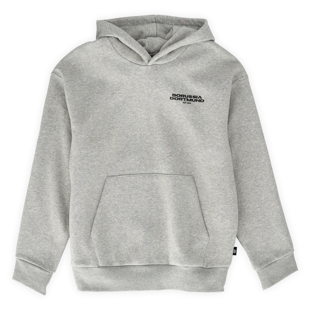 Grauer BVB Urban Hoodie mit Kapuze und Borussia Dortmund Schriftzug auf der Brust, Vorderansicht.