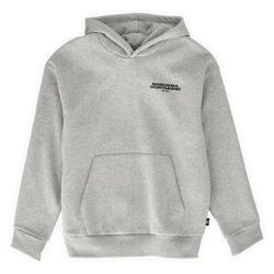 Grauer BVB Urban Hoodie mit Kapuze und Borussia Dortmund Schriftzug auf der Brust, Vorderansicht.