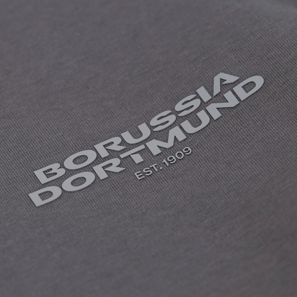 Nahaufnahme eines grauen Urban Pullovers mit BVB-Logo und der Aufschrift 'Borussia Dortmund Est. 1909'.