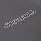 Nahaufnahme eines grauen Urban Pullovers mit BVB-Logo und der Aufschrift 'Borussia Dortmund Est. 1909'.