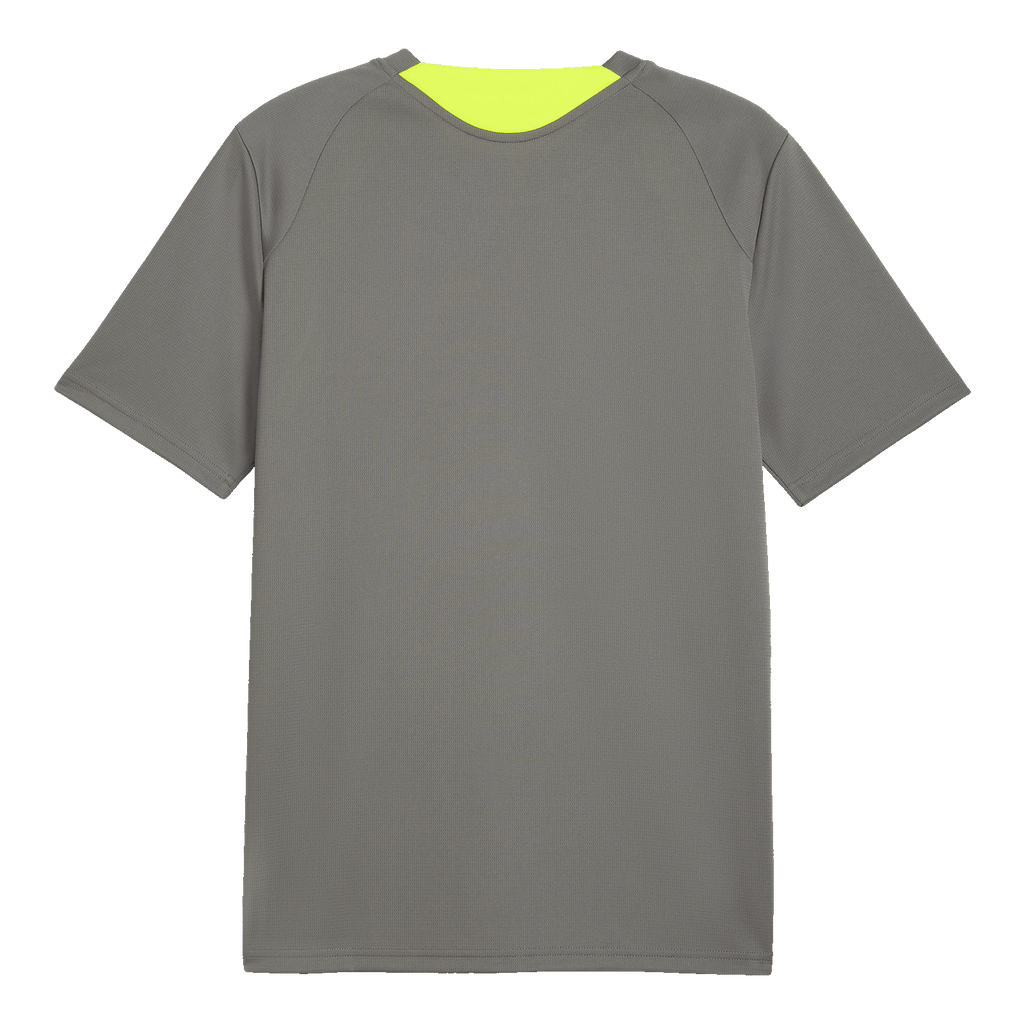 The BVB 26/27 training shirt in gray, back view, with a sporty cut and understated design, ideal for training and leisure.