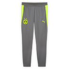 Gray training pants from the Borussia Dortmund 2026/27 collection featuring the BVB emblem and the PUMA logo, perfect for fans and training.