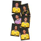 BVB autograph card set for the 26/27 season featuring player portraits in black-and-yellow jerseys—perfect for Borussia Dortmund fans.