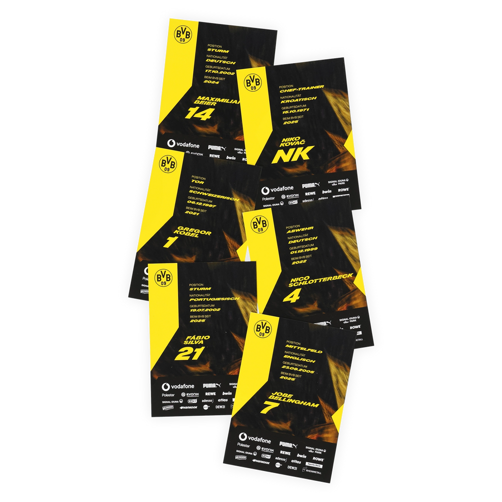 Un set di figurine autografate del BVB con le firme stampate dei giocatori e dello staff tecnico della stagione 2026/27, nel caratteristico design nero e giallo, perfetto per i tifosi del Borussia Dortmund.
